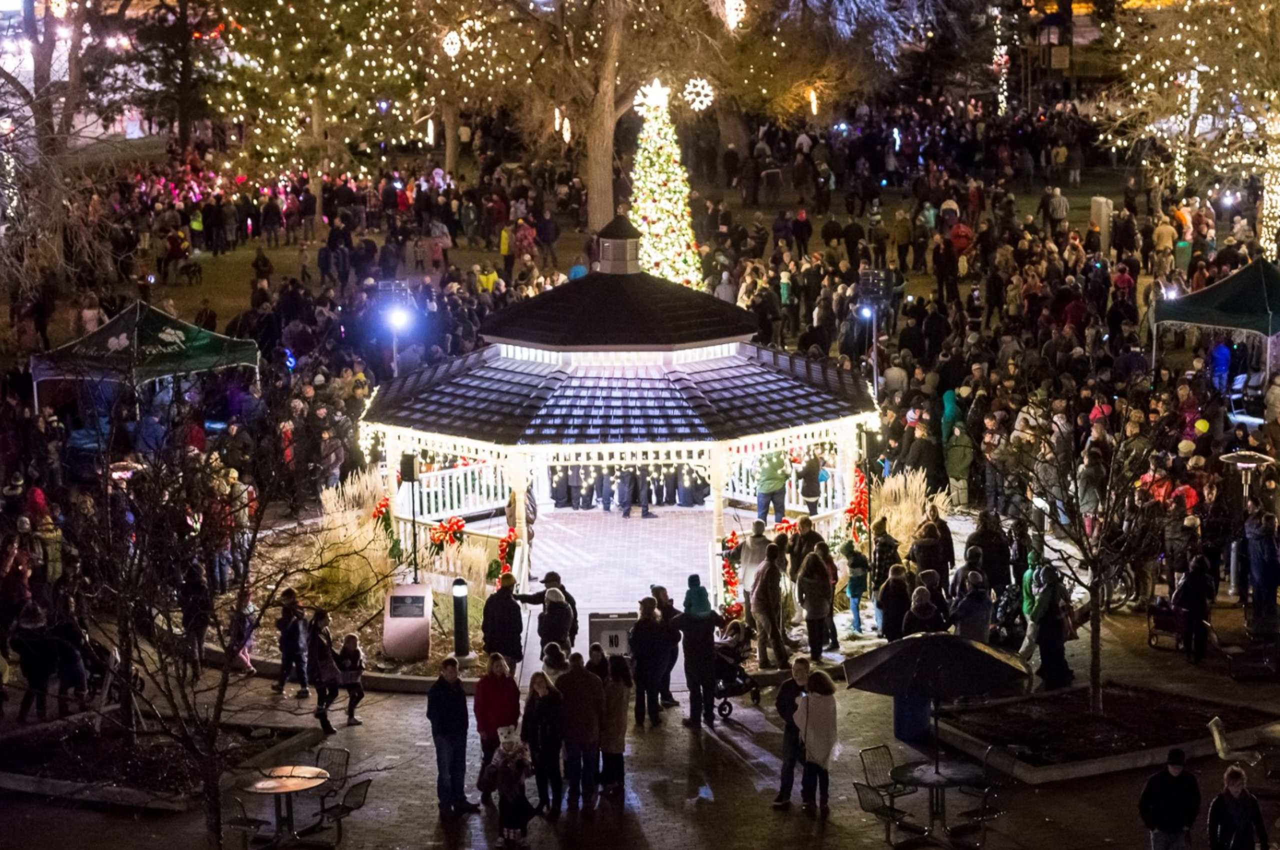 o'brien park in parker lit up for holidays