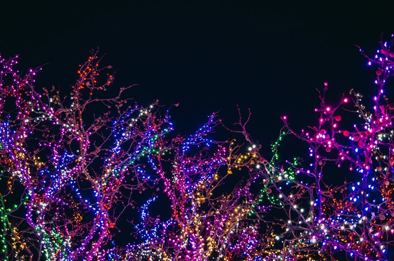 Colorful holiday lights illuminating tree branches against a dark night sky, perfect for festive backgrounds.