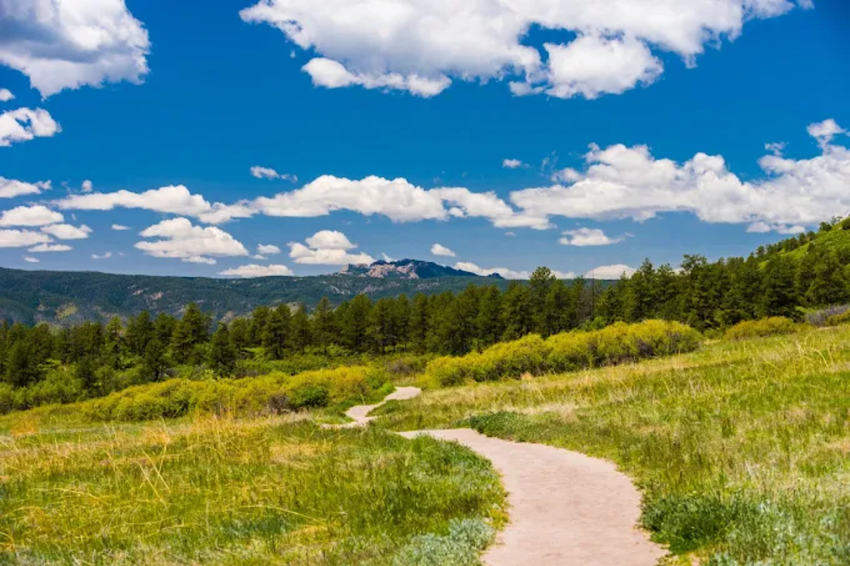 dirt trail with mountain in background