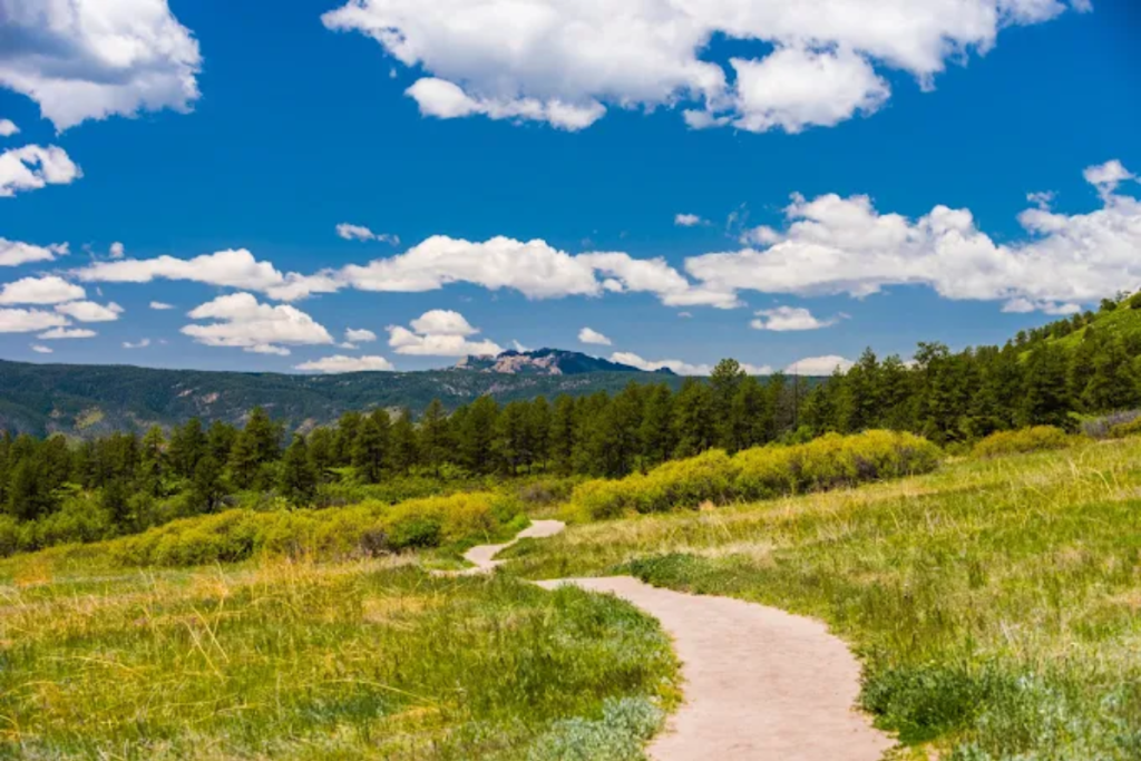 dirt trail with mountains in background