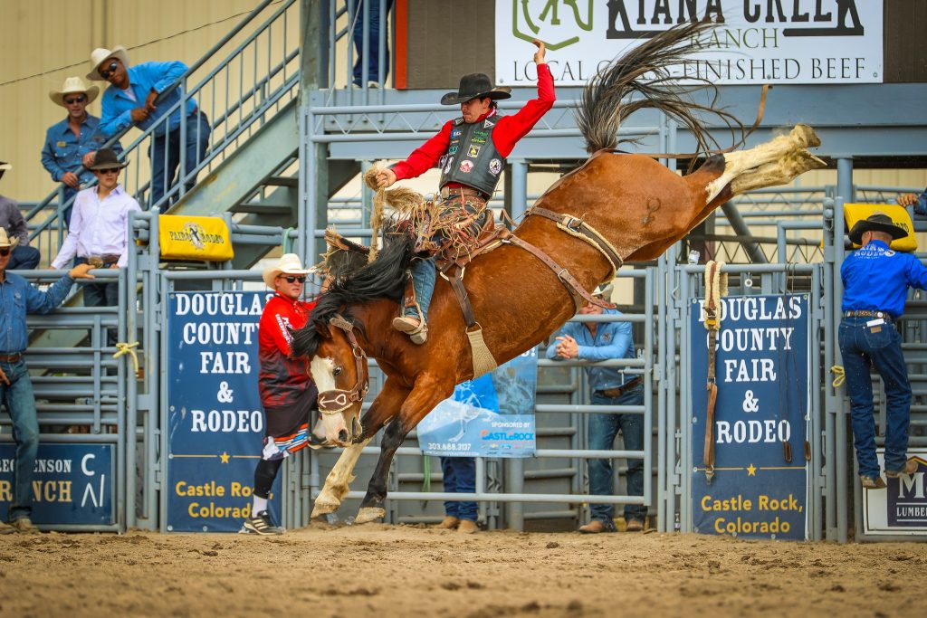 rodeo
