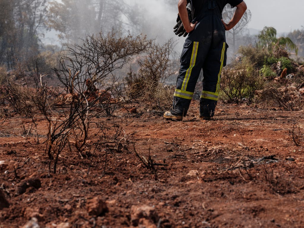 A firefighter examines a burnt forest landscape, assessing damage and ensuring safety.