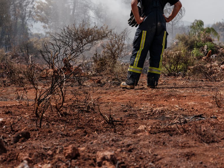 A firefighter examines a burnt forest landscape, assessing damage and ensuring safety.