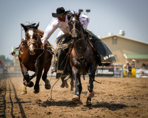 cowboy leading horse