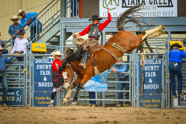 Douglas County Fair & Rodeo 2026: Events, Tickets, Rodeo Schedule & Family Fun