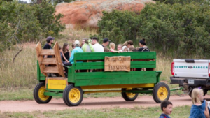 wagon rides in green wagon