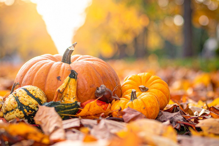 pumpkins in fall leaves