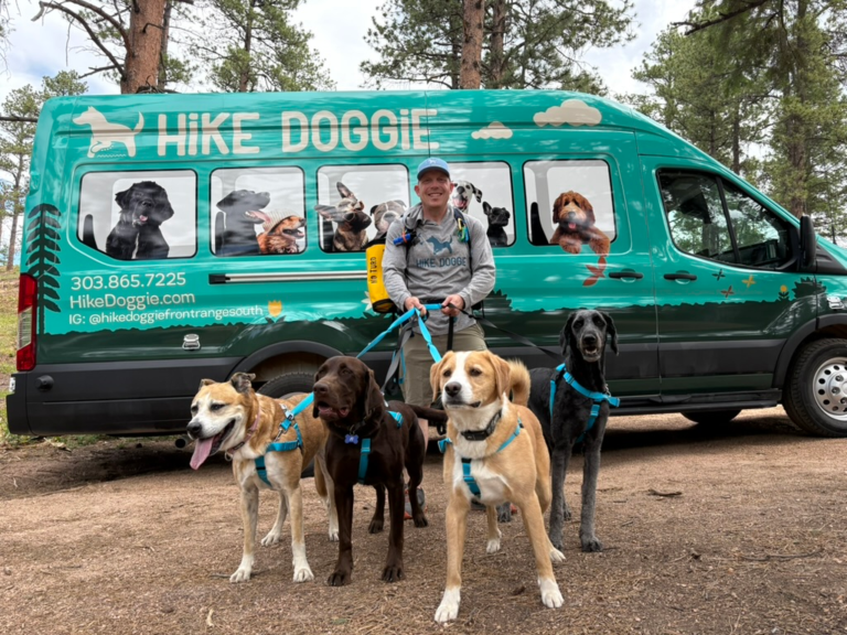 man walking several dogs