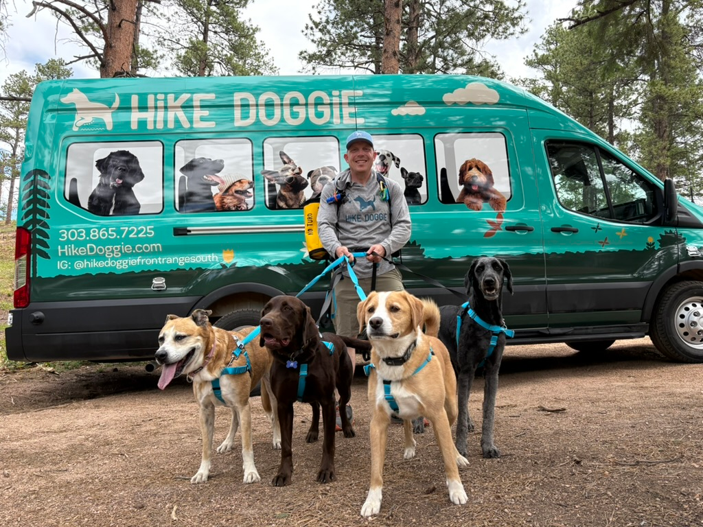 man walking several dogs